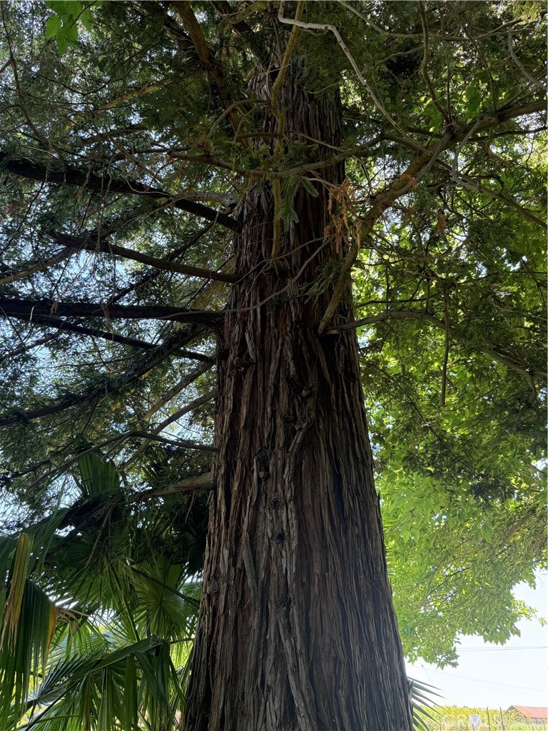https://media.crmls.org/medias/a71329c1-99e3-477a-961a-377da0da115f.jpg?preset=X-Large