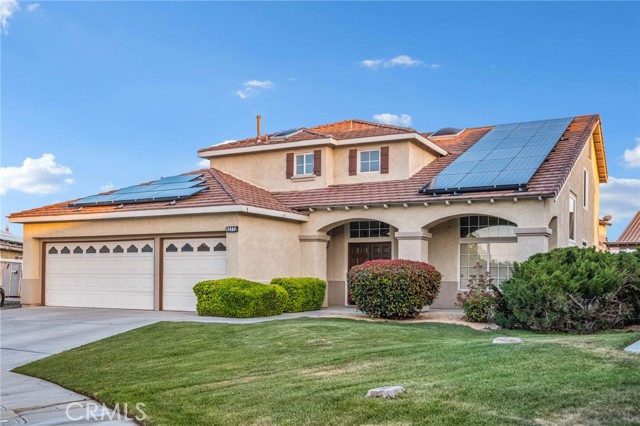 Front Image Thumbnail for CROC26083573