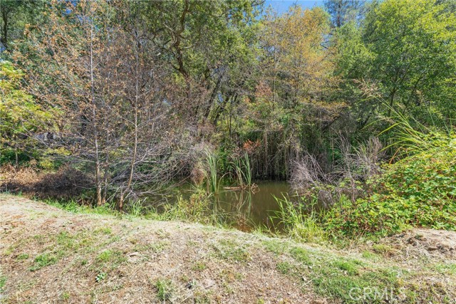 339 Mt Ida Road, Oroville CA: https://media.crmls.org/medias/a716089e-63ab-4421-85a7-a8c54ef55eee.jpg