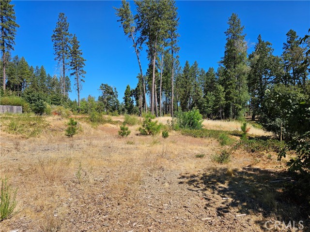1533 Forest Service Rd, Paradise CA: https://media.crmls.org/medias/a716a7b9-5fdc-44bc-8c45-674aeb48541c.jpg