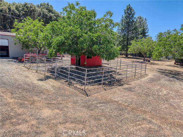 8700 Red Hills Road, Kelseyville CA: https://media.crmls.org/medias/a719edbb-b55a-4bba-8297-a2dd0587b2e5.jpg