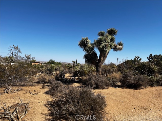 58210 Lisbon, Yucca Valley, CA, 92284 58210 Lisbon, Yucca Valley, CA, 92284