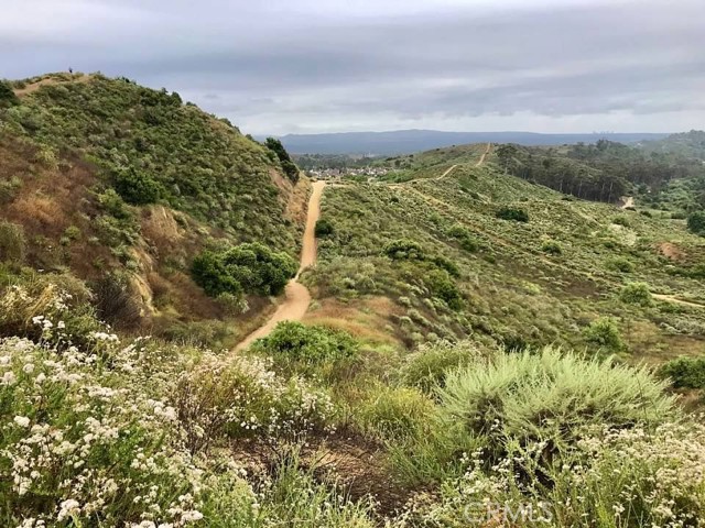 Detail Gallery Image 53 of 63 For 10533 Emerson Bend, Tustin,  CA 92782 - 4 Beds | 3/1 Baths