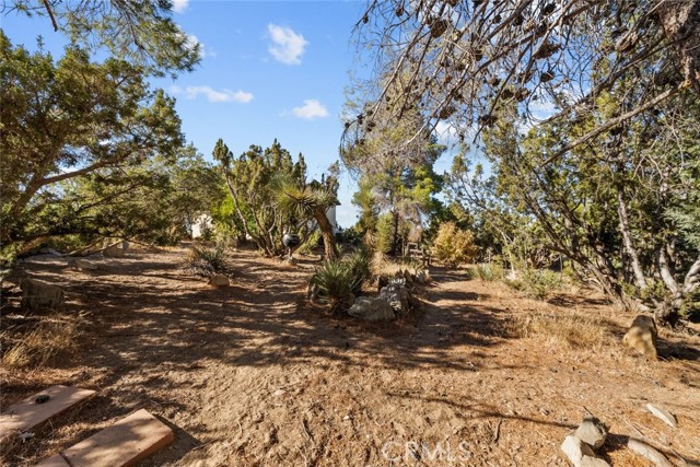 Detail Gallery Image 49 of 54 For 8676 Sky Line Dr, Pinon Hills,  CA 92372 - 3 Beds | 2/1 Baths