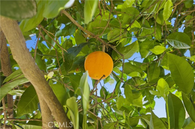 Detail Gallery Image 30 of 45 For 611 S Laurel Ave, Ontario,  CA 91762 - 4 Beds | 1 Baths