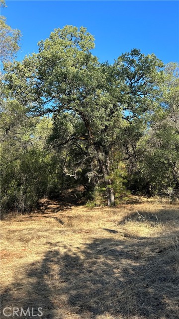 0 Rich Gulch Road, Yankee Hill, California 95965, ,Land,For Sale,0 Rich Gulch Road,CRSN23101845