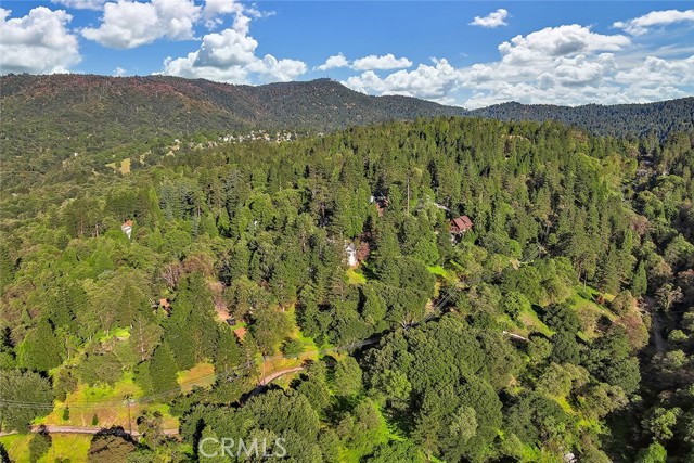 176 Pine Ridge Road, Crestline CA: https://media.crmls.org/medias/a739c0a5-4876-41fb-ab5f-c169e10705fe.jpg