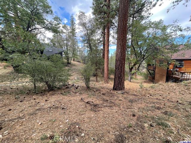 600 Travertine Road, Big Bear City, California 92314, ,Land,For Sale,600 Travertine Road,CRGD24038004