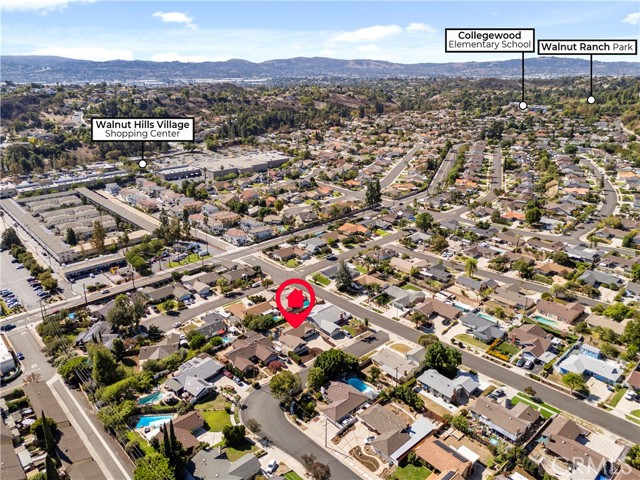 1408 Cranmer Drive photo 28