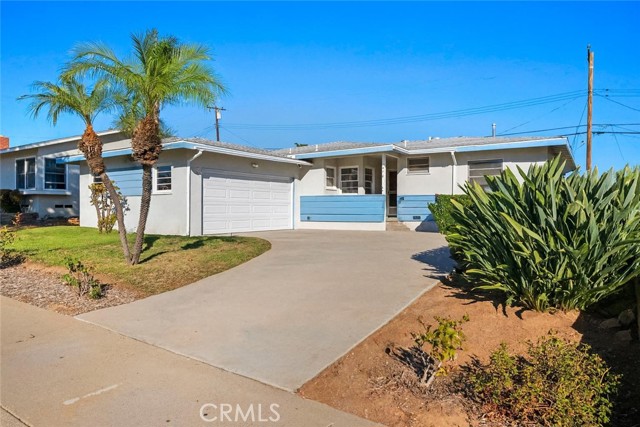 Front Image Thumbnail for CROC25245466