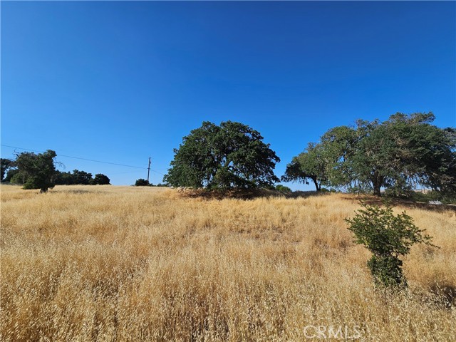 4560 Potrero, Atascadero CA: https://media.crmls.org/medias/a7411bee-d00b-40dd-9b92-a3087b0ce09c.jpg