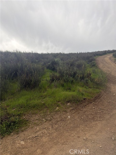 Front Image Thumbnail for CRPW26026884