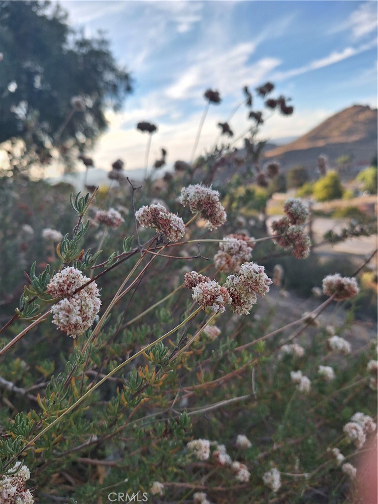 https://media.crmls.org/medias/a745c960-b8a3-4352-b957-576c987d46d4.jpg?preset=X-Large