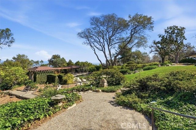 Image 54 of 66 For 100 Saddleback