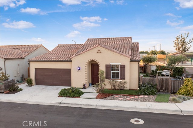 Front Image Thumbnail for CROC26040907