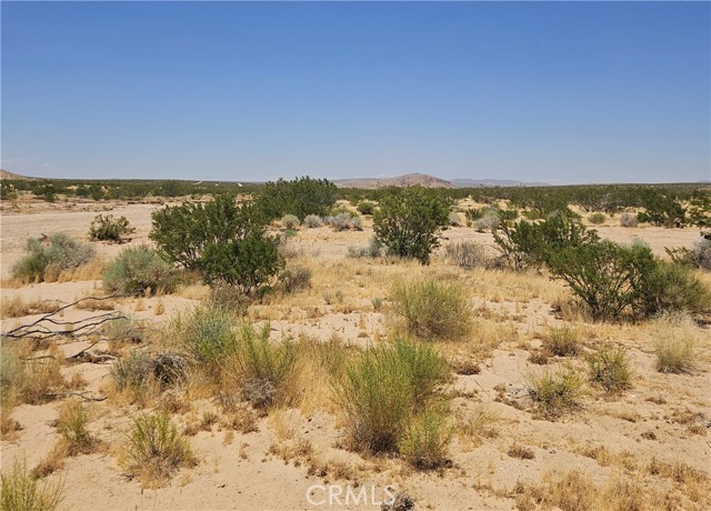 Front Image Thumbnail for CRSR26137356