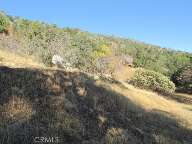 Detail Gallery Image 49 of 54 For 2 Ac Old Oaks Ct, North Fork,  CA 93643 - – Beds | – Baths