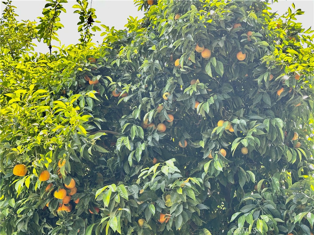 https://media.crmls.org/medias/a75ddcfd-59ce-45ab-a936-f29511280974.jpg?preset=X-Large