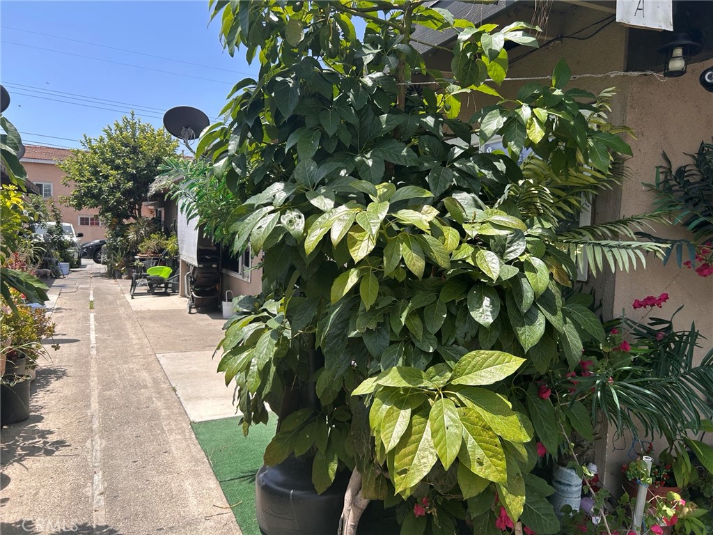 A760d161 E511 49c1 9484 2d8539f80c25