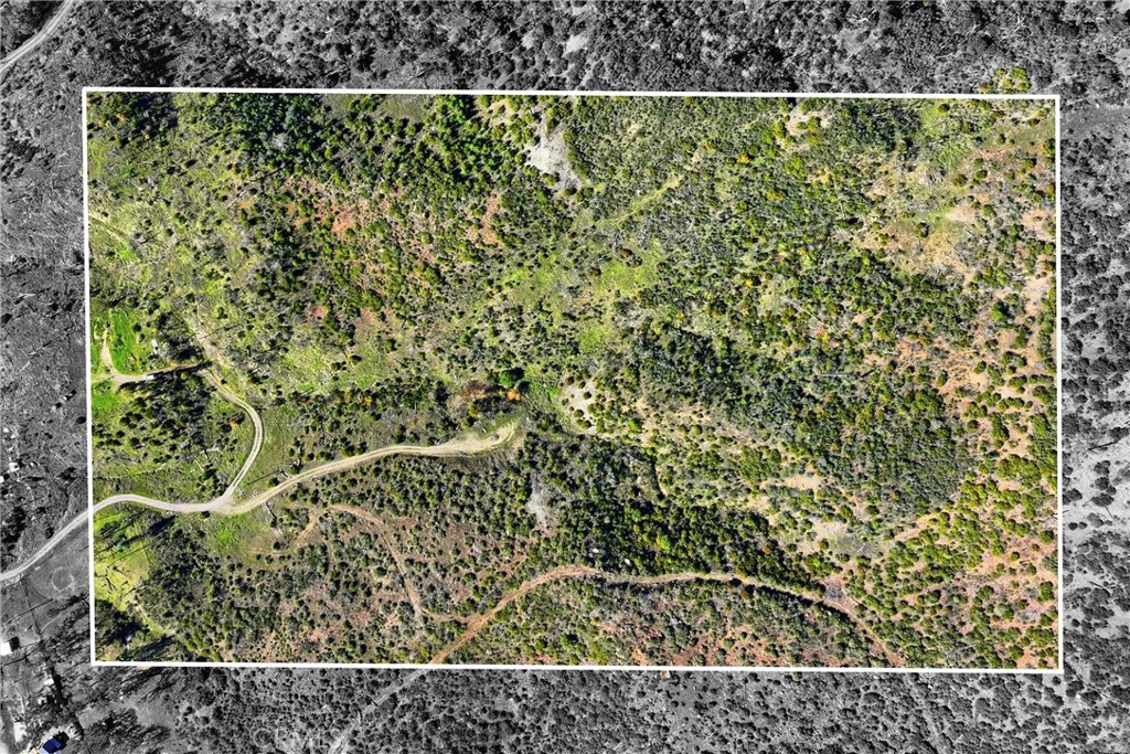 MLS #LC25273256 image #22