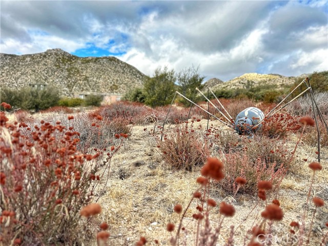 Detail Gallery Image 25 of 46 For 40 Acres via Oak Grove Ln, Ranchita,  CA 92066 - – Beds | – Baths