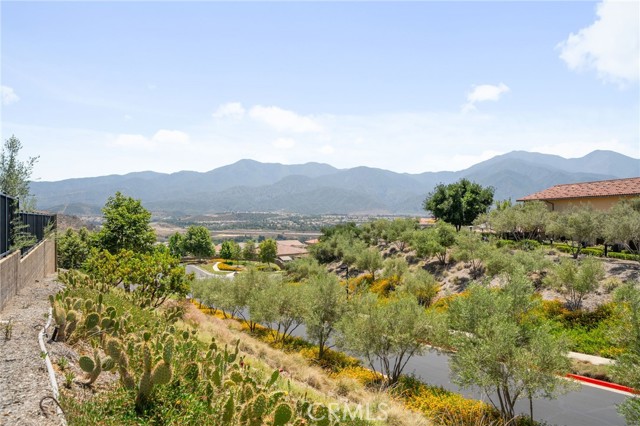 24205 Selwood Drive, Corona CA: https://media.crmls.org/medias/a7756fc3-4a24-4e6a-811f-67bb17b8acc7.jpg
