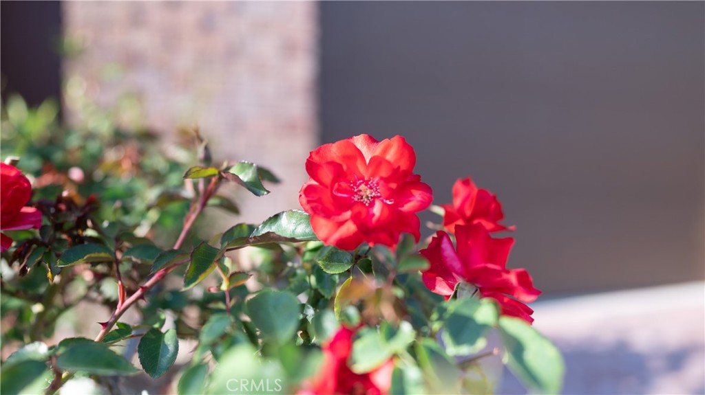 https://media.crmls.org/medias/a7761934-e533-481c-a4d7-d3672b431525.jpg?preset=X-Large