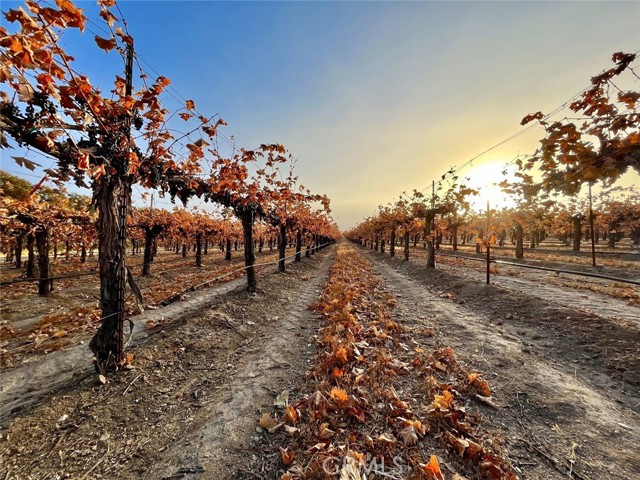 53600 Bradley Lockwood Road, Lockwood CA: https://media.crmls.org/medias/a77b030f-75b7-4078-a633-e5da9c47977d.jpg