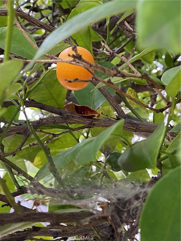 https://media.crmls.org/medias/a77cbce8-e226-4745-b453-40267dbbb1ad.jpg?preset=X-Large