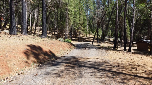 Detail Gallery Image 6 of 15 For 4655 Dear Abby Rd, Forest Ranch,  CA 95942 - – Beds | – Baths