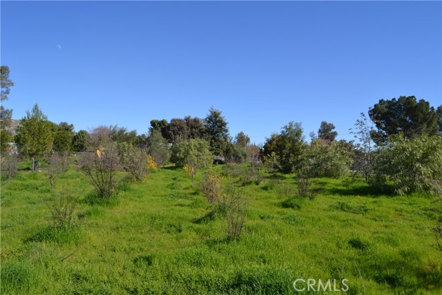 Image 22 of 38 For 29580 Patelli Way