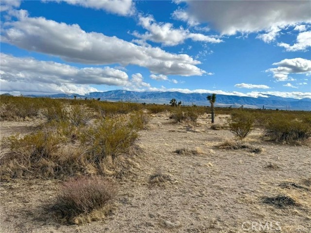 Detail Gallery Image 4 of 5 For 0 Dos Palmas Ave, Pinon Hills,  CA 92372 - – Beds | – Baths