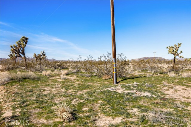 Detail Gallery Image 10 of 51 For 0 Gibraltar, Landers,  CA 92285 - – Beds | – Baths