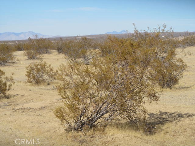 Detail Gallery Image 6 of 10 For 5007 Brown Bld, California City,  CA 93505 - – Beds | – Baths