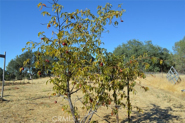 6765 S State Highway 29, Kelseyville CA: https://media.crmls.org/medias/a793ffb5-8a7f-4987-a4cb-e984021da5ac.jpg