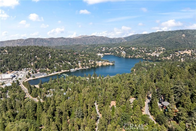 Detail Gallery Image 33 of 43 For 24250 Horst Dr, Crestline,  CA 92325 - 3 Beds | 2 Baths