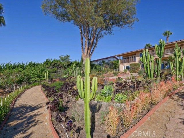 Backyard Garden Walkway