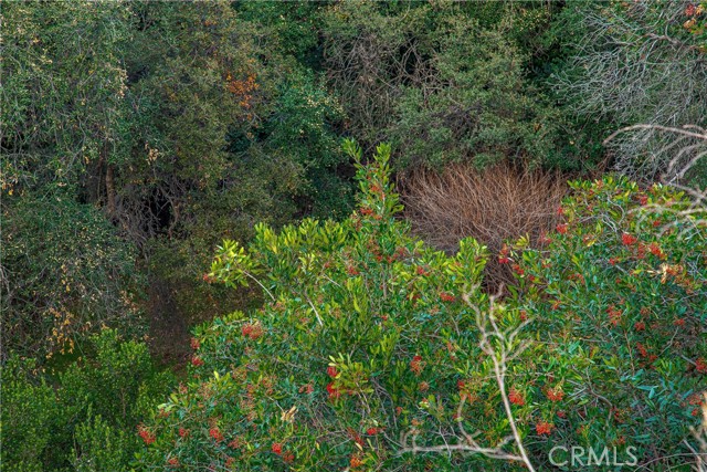 1 Bayberry Drive photo 6