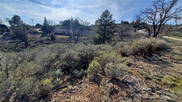 25041 Jacaranda Drive, Tehachapi, California 93561, ,Land,For Sale,25041 Jacaranda Drive,CRSR23210317