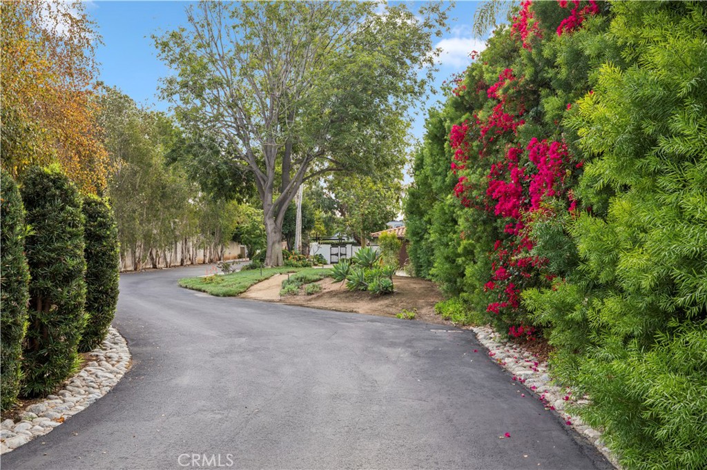 MLS #NP25259793 image #26