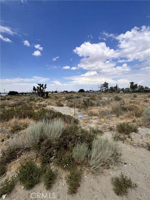  Land for Sale in Phelan, California