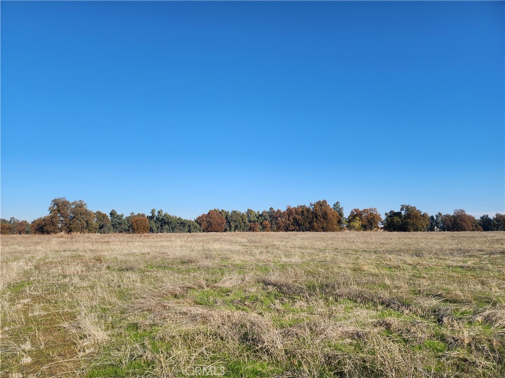 MLS #SN25262438 image #6