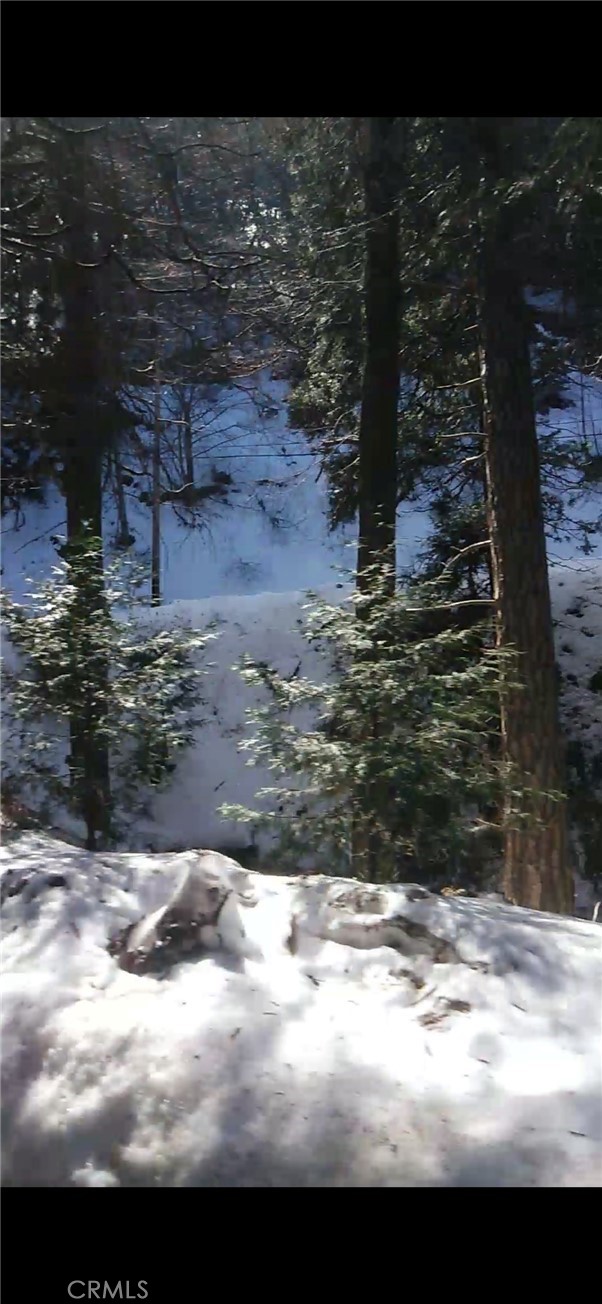 0 Saxon, Crestline CA: https://media.crmls.org/medias/a7bea410-e551-414d-b550-3881d9f11ac5.jpg