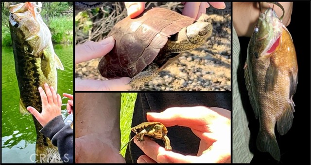 Detail Gallery Image 33 of 50 For 76450 Deer Pass Rd, Bradley,  CA 93426 - 2 Beds | 2 Baths