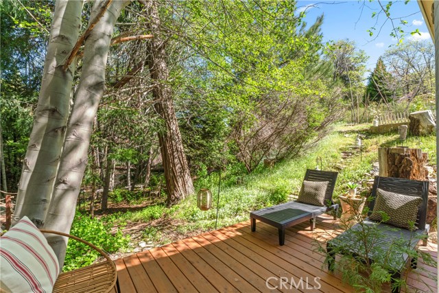 29613 Hook Creek Road, Cedar Glen CA: https://media.crmls.org/medias/a7dc6413-604d-440f-9156-3c42df8409cc.jpg