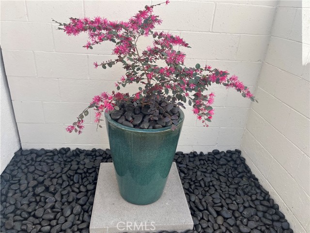 Detail Gallery Image 26 of 31 For 70 Shearwater, Newport Beach,  CA 92660 - 3 Beds | 2/1 Baths