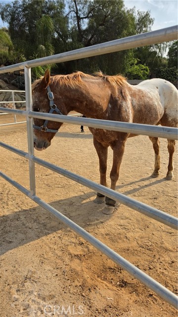 Detail Gallery Image 11 of 15 For 32360 Navajo Springs, Wildomar,  CA 92595 - 3 Beds | 3 Baths