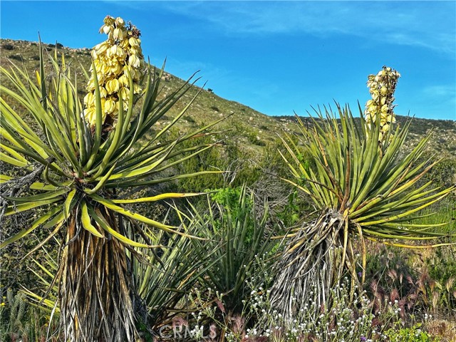 0 Hwy 79, Warner Springs, CA, 92086 0 Hwy 79, Warner Springs, CA, 92086