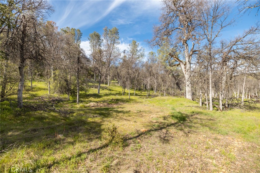 MLS #MP25083709 image #6