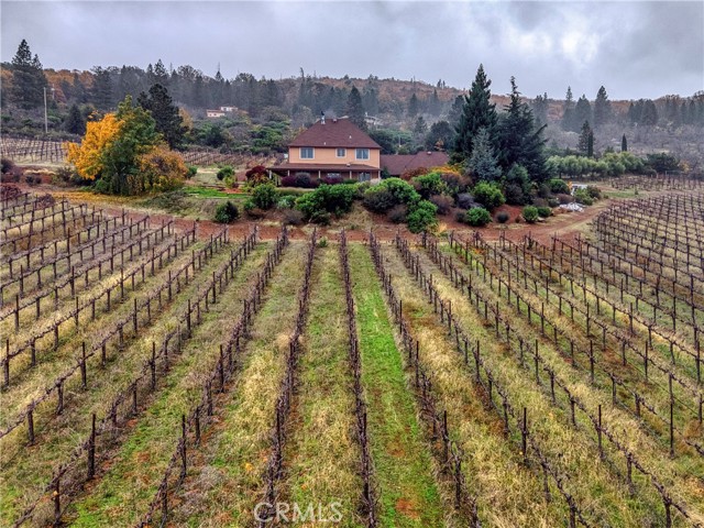 Detail Gallery Image 49 of 75 For 8664 Seigler Springs North, Kelseyville,  CA 95451 - 5 Beds | 5/1 Baths